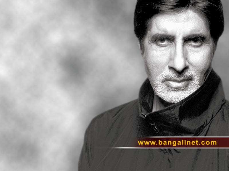 New Hindi Stars  Amitabh Bacchan