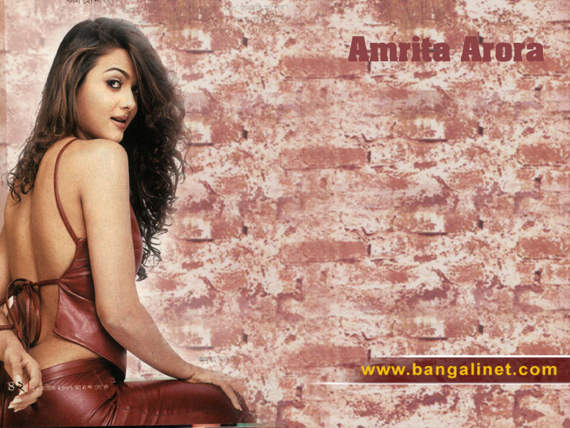 New Hindi Cine Stars Amrita Arora